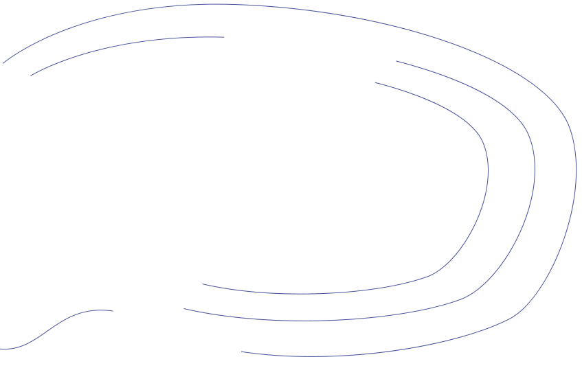 Shape